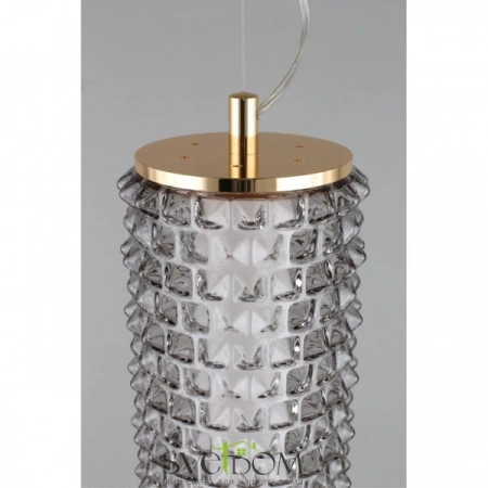 Подвесные светильники Aployt APL.331.16.29 от Магазина Svetdom.by