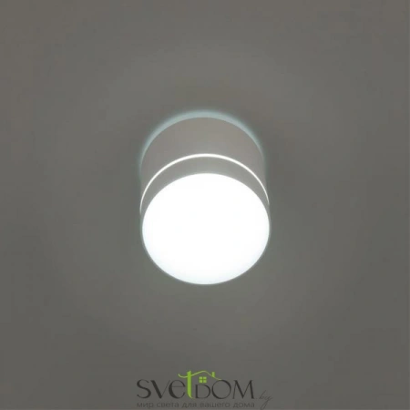 Накладные светильники CITILUX CL745020N от Магазина Svetdom.by