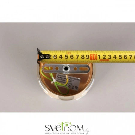 Настенные светильники APL.730.01.01 Aployt | Svetdom.by