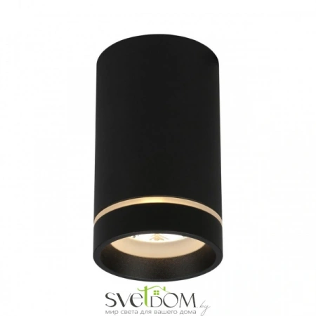 Накладные светильники Aployt APL.0053.19.10 от Магазина Svetdom.by