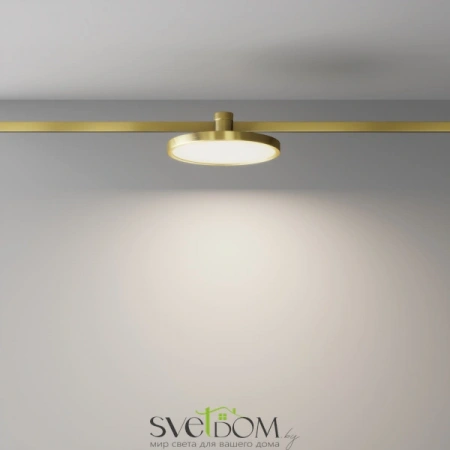 TR153-1-10W4K-BS Maytoni