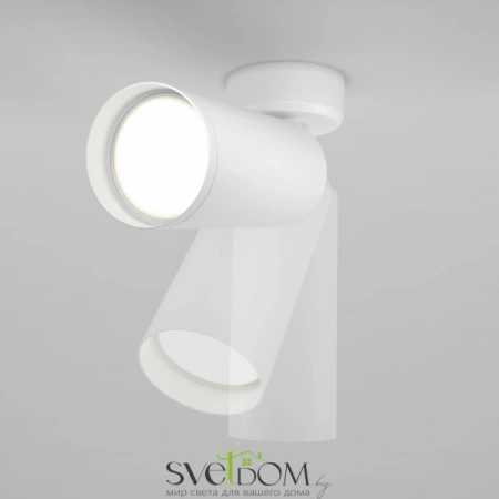 Фото Потолочные светильники Maytoni C017CW-01W Потолочные светильники Maytoni C017CW-01W от Магазина Svetdom.by