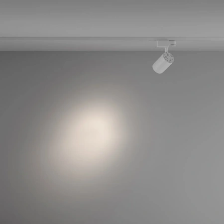 TR029-3-10W4K-S-W Maytoni