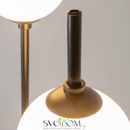 Z020FL-L12BK Maytoni