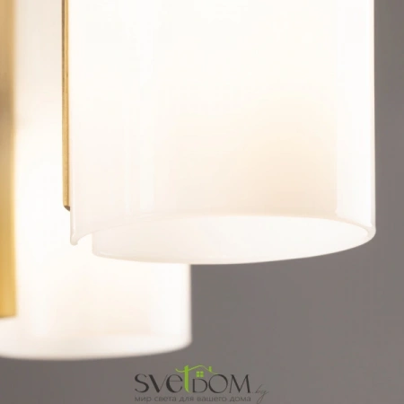 Потолочные светильники Freya FR5368CL-14BS от Магазина Svetdom.by