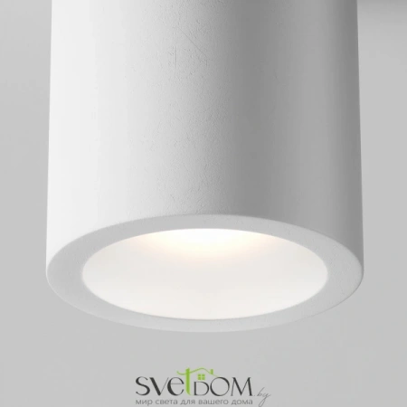 Потолочные светильники Maytoni C001CW-01W от Магазина Svetdom.by