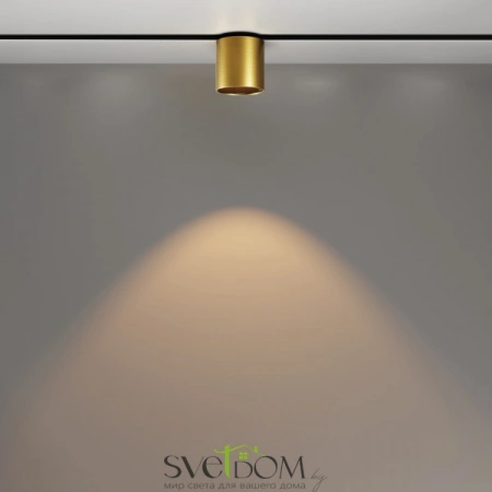 TR132-2-7W3K-BS Maytoni