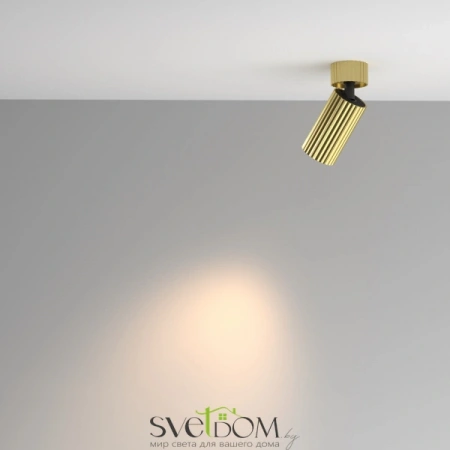 Потолочные светильники Maytoni C108CL-01-GU10-BS от Магазина Svetdom.by