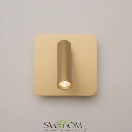 Настенные светильники C175-WL-01-6W-MG Maytoni | Svetdom.by