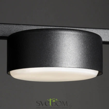 Потолочные светильники Freya FR5363CL-02B от Магазина Svetdom.by