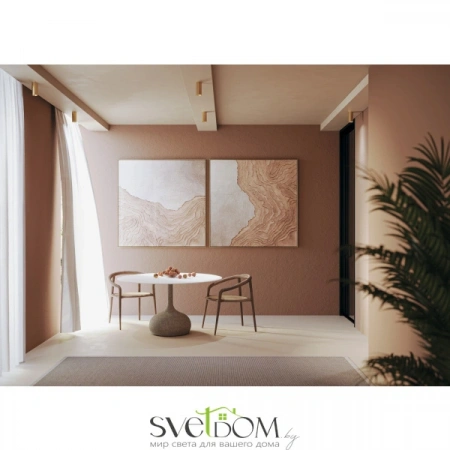 Потолочные светильники Maytoni C010CL-01MG от Магазина Svetdom.by