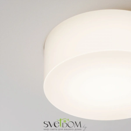 Встраиваемые светильники Maytoni DL065-12W4K-TRS-W от Магазина Svetdom.by