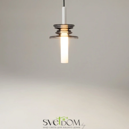 Подвесные светильники Maytoni MOD255PL-01B4 от Магазина Svetdom.by