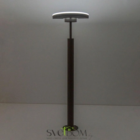 Citilux CLU03B1 LED Уличный парковый светильник поворотный Графит CITILUX