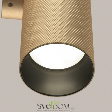 Настенные светильники C080WL-02-GU10-MG Maytoni | Svetdom.by