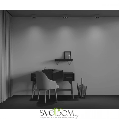 Потолочные светильники Maytoni C065CL-02-L12W4K-W от Магазина Svetdom.by