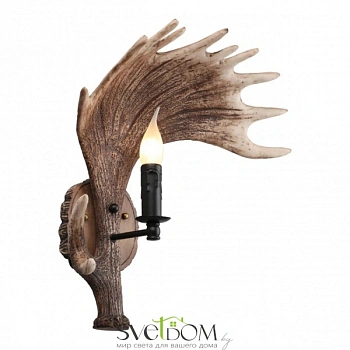 Светильник настенный (Бра) Omnilux  OML-52201-01