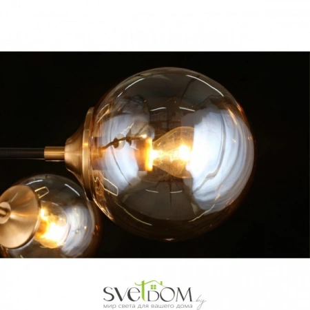 Люстры потолочныеAPL.909.07.06 Aployt | Svetdom.by