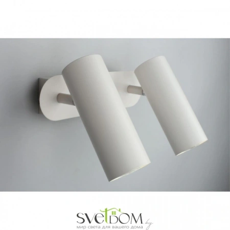 Настенные светильники APL.004.01.02 Aployt | Svetdom.by