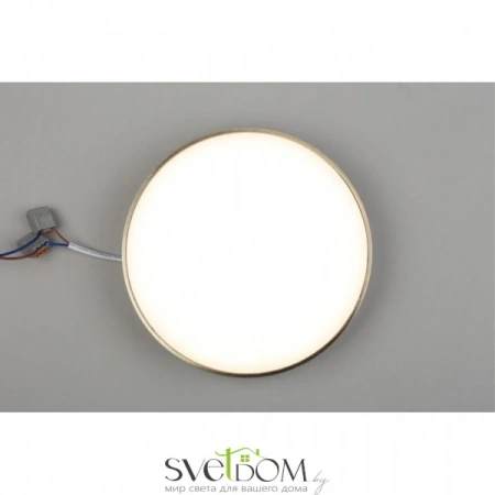 Настенно-потолочные светильники Aployt APL.0114.29.24 от Магазина Svetdom.by