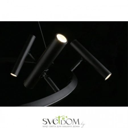 Люстры подвесныеAPL.067.03.40 Aployt | Svetdom.by