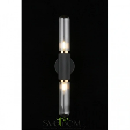 Настенные светильники APL.307.31.02 Aployt | Svetdom.by