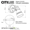 CL541510 CITILUX