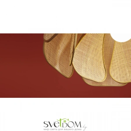 Подвесные светильники Freya FR5529PL-01B от Магазина Svetdom.by