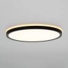 Накладной светильник Citilux NORMA CL748321 CITILUX
