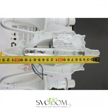 Настенные светильники OML-72501-02 Omnilux | Svetdom.by