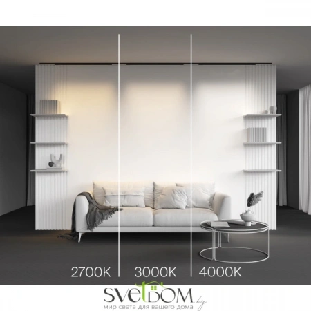 TR192-1-21W4K-B Maytoni