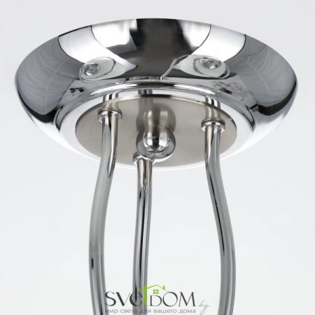 Люстры потолочныеCL155131 CITILUX | Svetdom.by