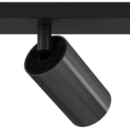 Потолочные светильники Maytoni C051CL-02BGF от Магазина Svetdom.by