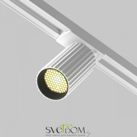 TR218-1-GU10-W Maytoni