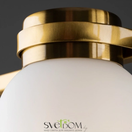 Подвесные светильники Freya FR5446PL-04BS от Магазина Svetdom.by