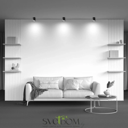 Потолочные светильники Maytoni C086CM-GX53-MRD-B от Магазина Svetdom.by