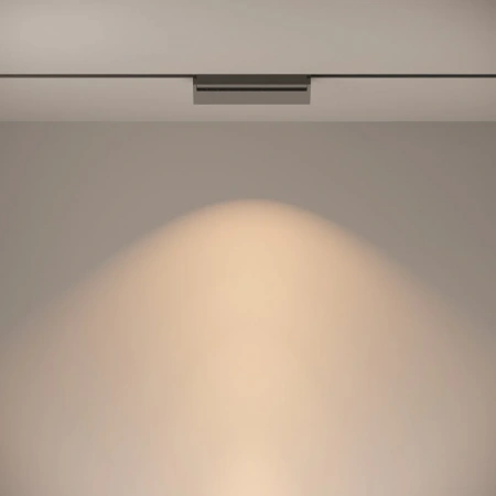 TR013-2-20W3K-B Maytoni