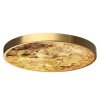 Настенно-потолочные светильники Odeon Light 5079/50L от Магазина Svetdom.by