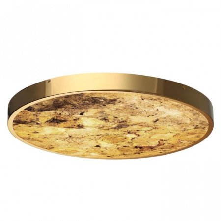 Настенно-потолочные светильники Odeon Light 5079/50L от Магазина Svetdom.by