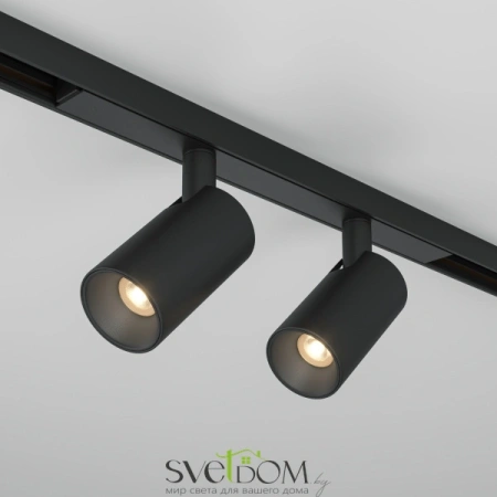 Трековый светильник Technical TR176-1-2X5WTW-M-B Maytoni
