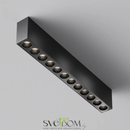 Потолочные светильники Maytoni C066CL-20W3-6K-B от Магазина Svetdom.by