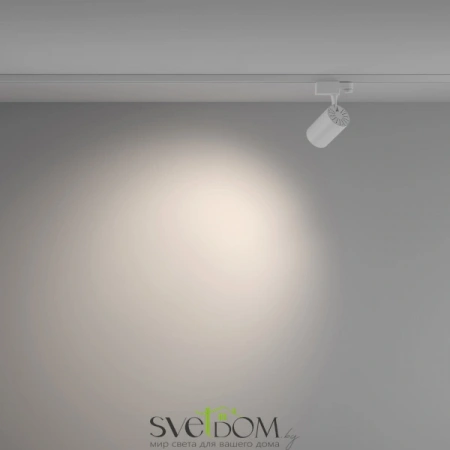 TR029-3-10W4K-W-W Maytoni