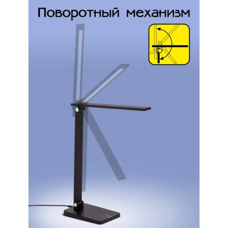 Настольная лампа Citilux Ньютон CL803081 CITILUX