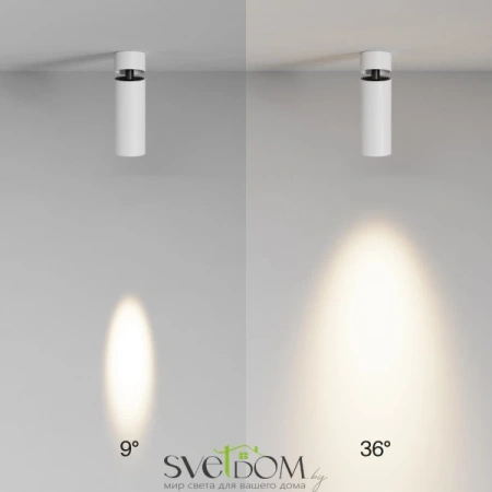 Потолочные светильники Maytoni C055CL-L12W3K-SS-W от Магазина Svetdom.by