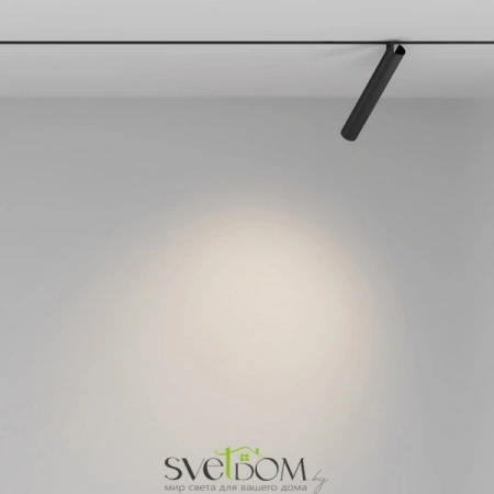 TR141-2-6W3K-M-B Maytoni