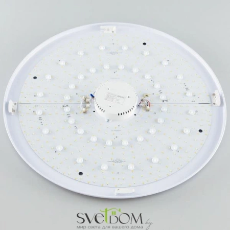 Люстры потолочныеCL713A100G CITILUX | Svetdom.by