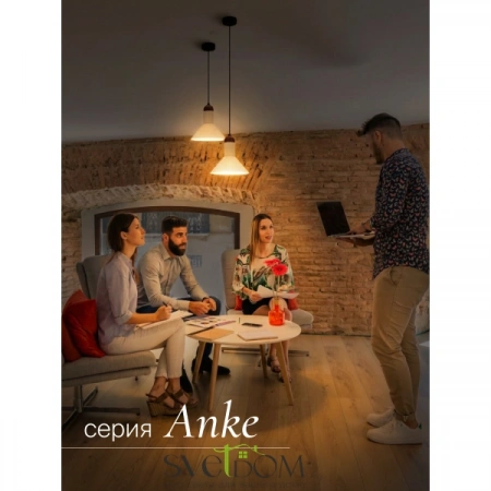 Подвесные светильники  LPL-004GR от Магазина Svetdom.by