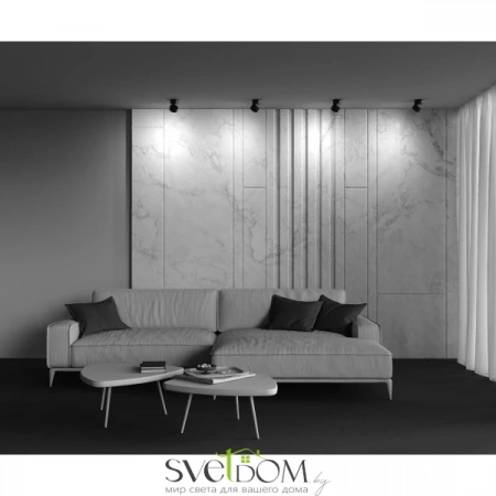 Потолочные светильники Maytoni C024CL-L12B3K от Магазина Svetdom.by