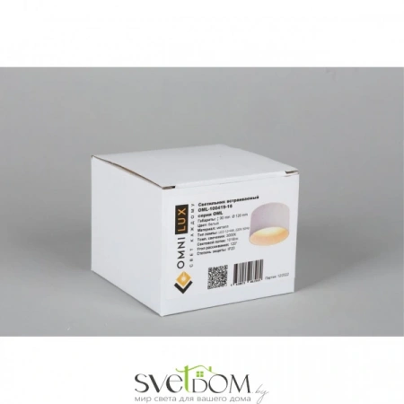 Настенно-потолочные светильники Omnilux OML-100419-16 от Магазина Svetdom.by
