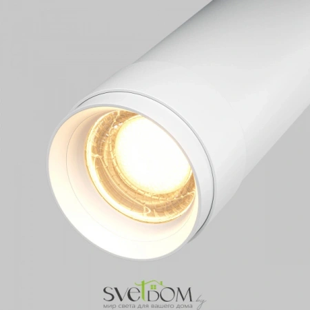 Потолочные светильники Maytoni C055CL-L12W3K-Z-W от Магазина Svetdom.by